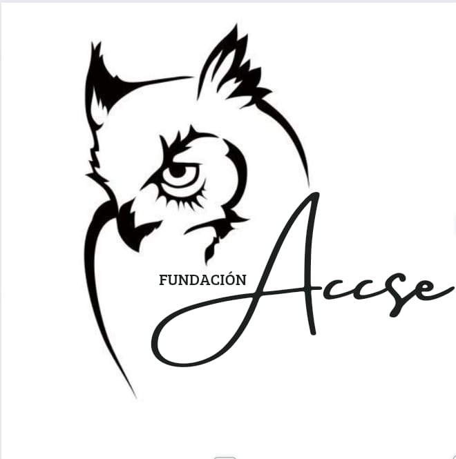 Fundacion Accse
